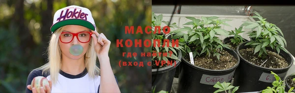 прущие грибы Абинск