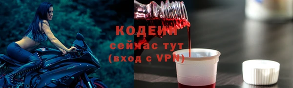 прущие крисы Абаза