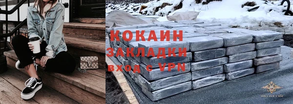 прущие грибы Абинск