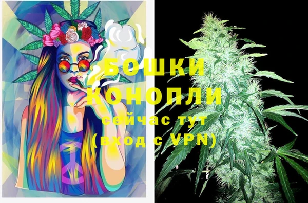 прущие грибы Абинск