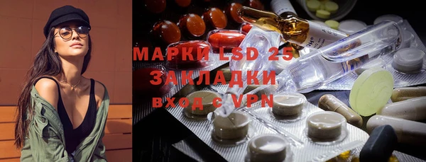 прущие грибы Абинск