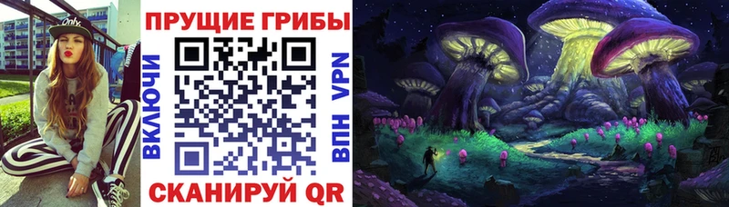 Галлюциногенные грибы Cubensis продажа наркотиков Красноармейск